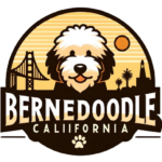 Bernedoodle California Logo Final Final Removebg Preview