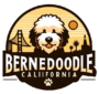 Bernedoodle California Logo Final Final Removebg Preview